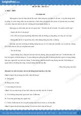 Đề ôn hè Tiếng Việt 4 lên 5 có lời giải chi tiết - Đề 11
